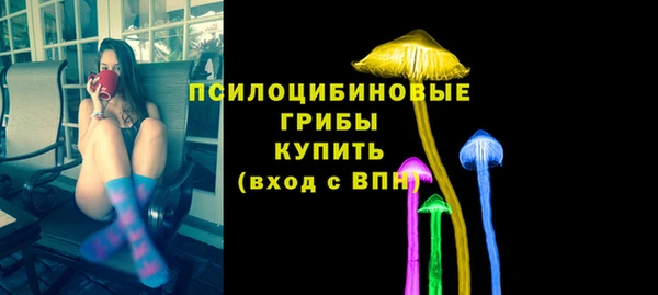 ALPHA PVP Бородино
