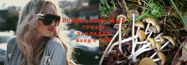 хмурый Бронницы
